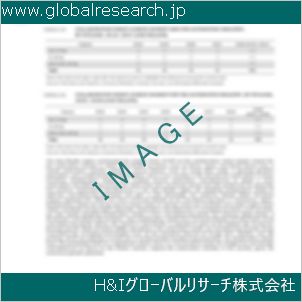 グローバルリサーチ調査資料のイメージ